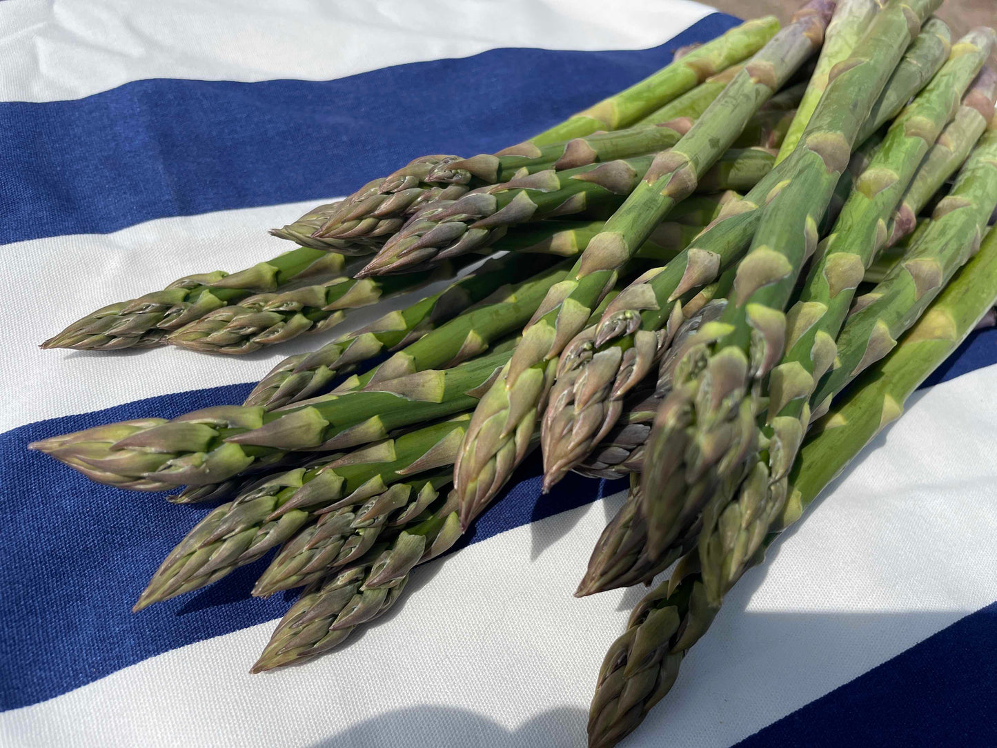 【旬の味】露地アスパラ 北海道上富良野産 Lサイズ900g