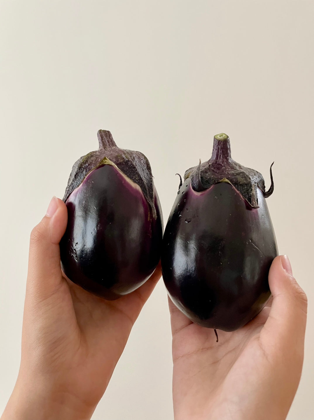 【すずきが育てた新商品！】すずきの水なす【プリっとした歯応えと瑞々しい】　1kg