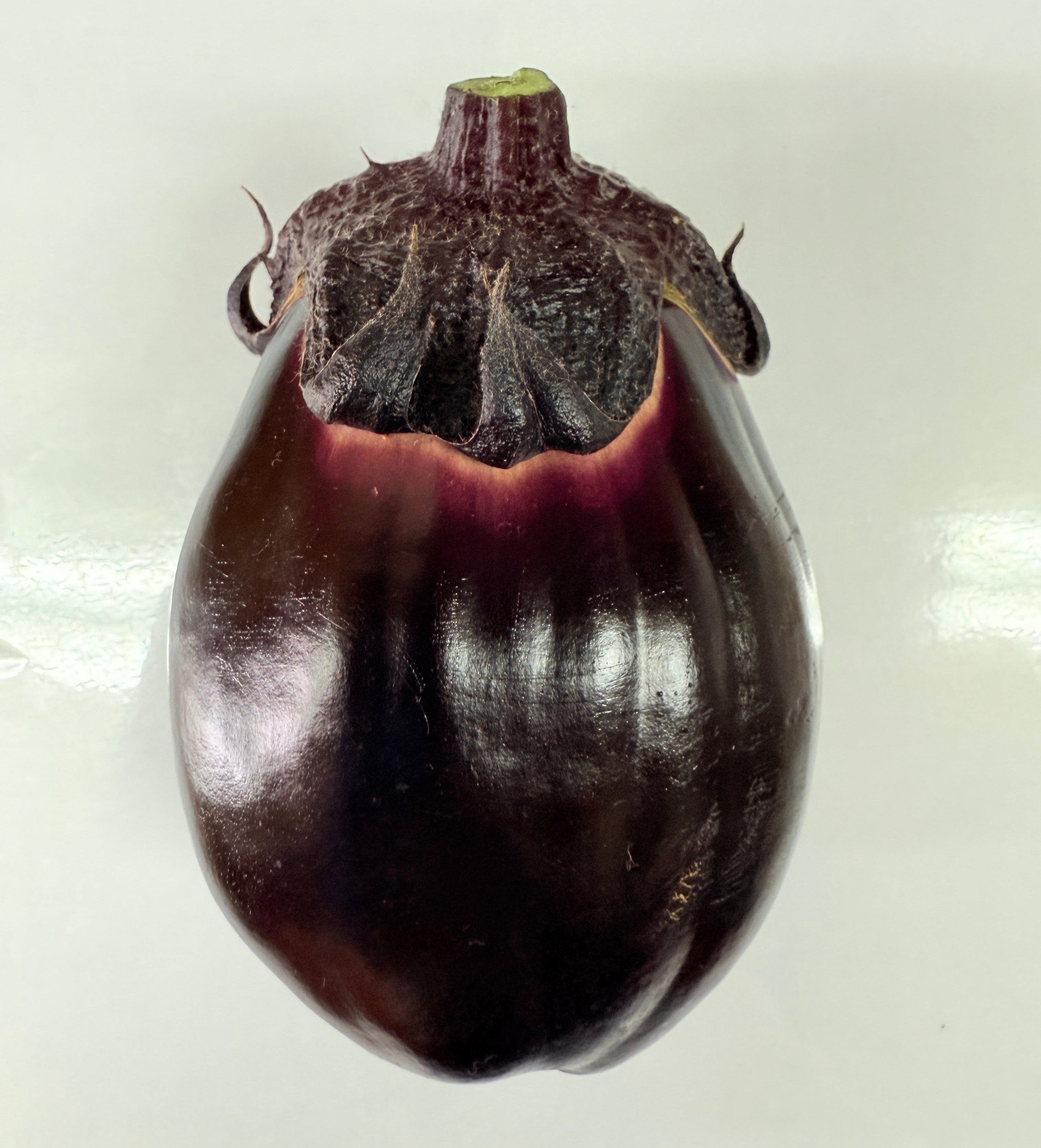 すずきが育てた新商品！】すずきの水なす【プリっとした歯応えと瑞々