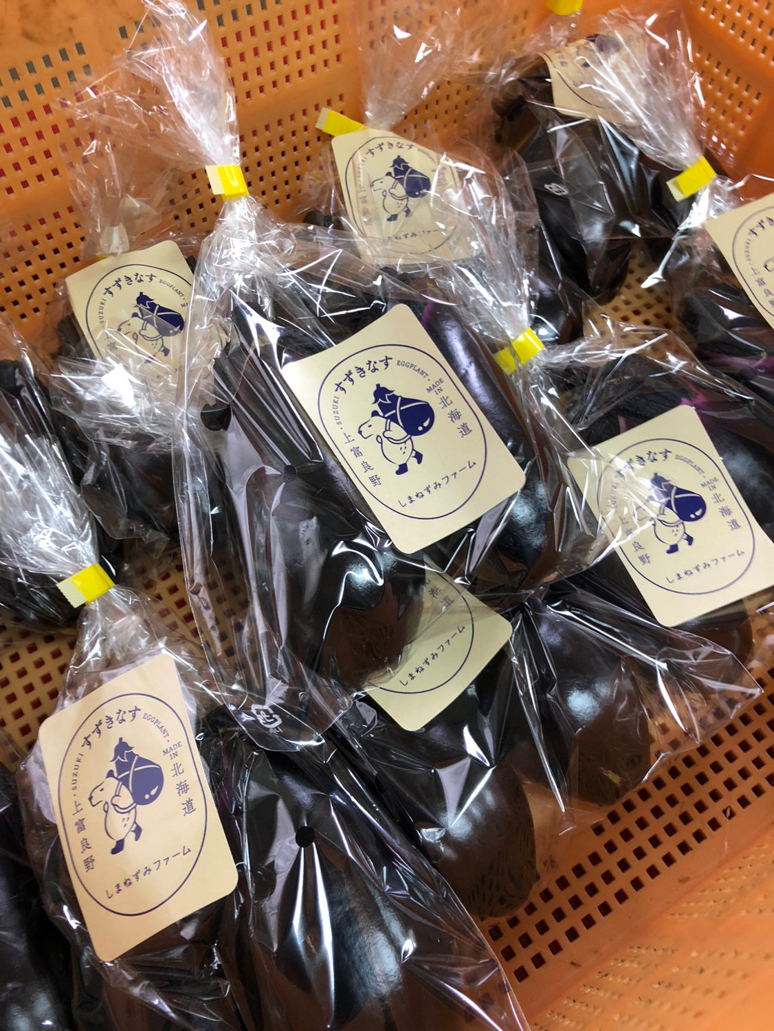 【7月予約販売】すずきなす【鮮度と旨み】　1kg