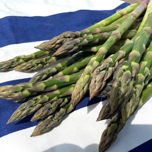 【旬の味】露地アスパラ　北海道上富良野産 Lサイズ900g