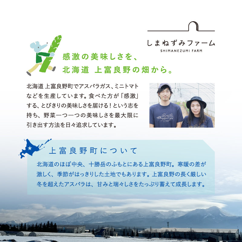 【2026予約販売】極太グリーンアスパラガス 北海道 上富良野産 【春芽】【フラノラルム】